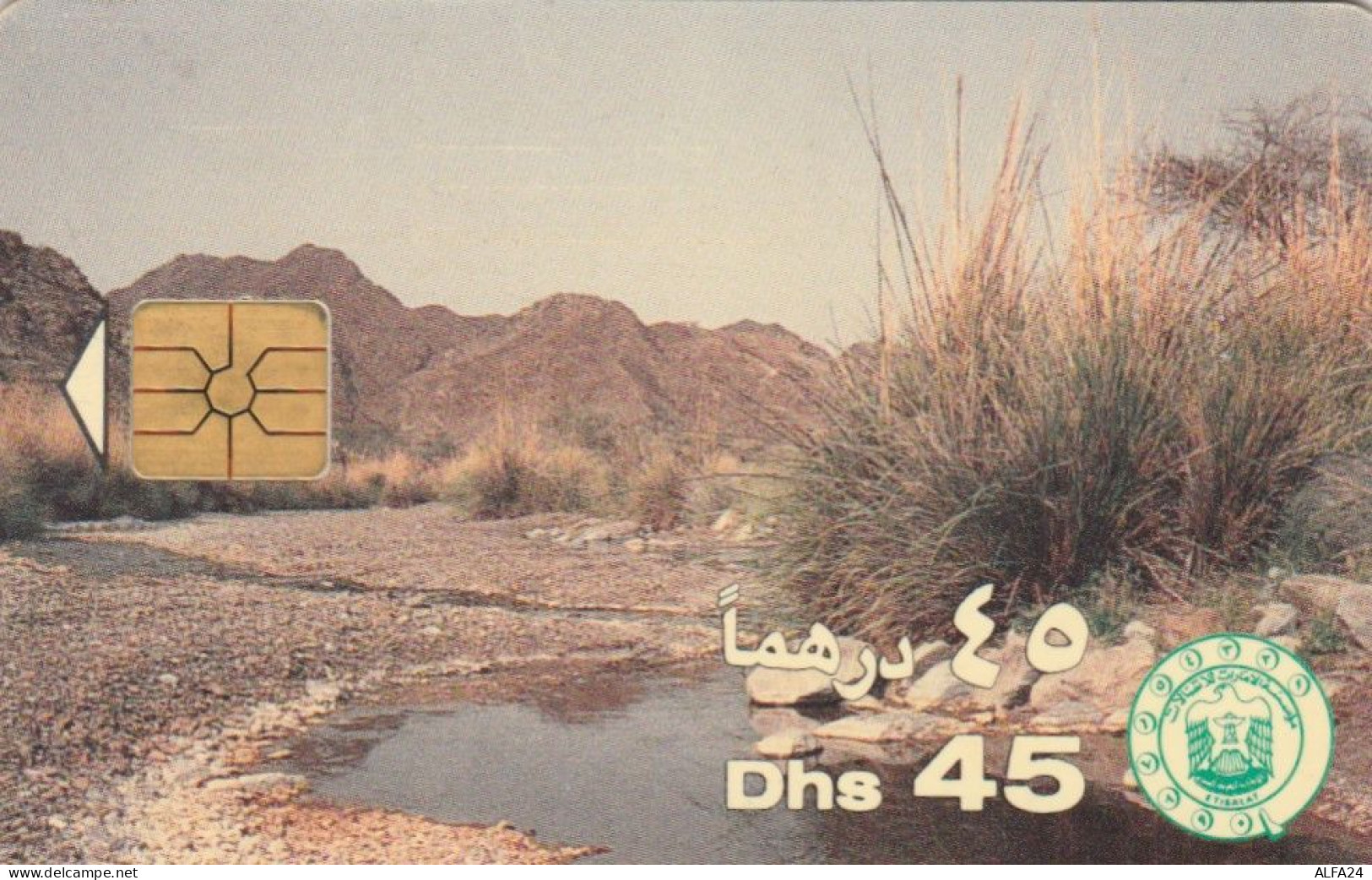 PHONE CARD EMIRATI ARABI  (E94.16.4 - Ver. Arab. Emirate