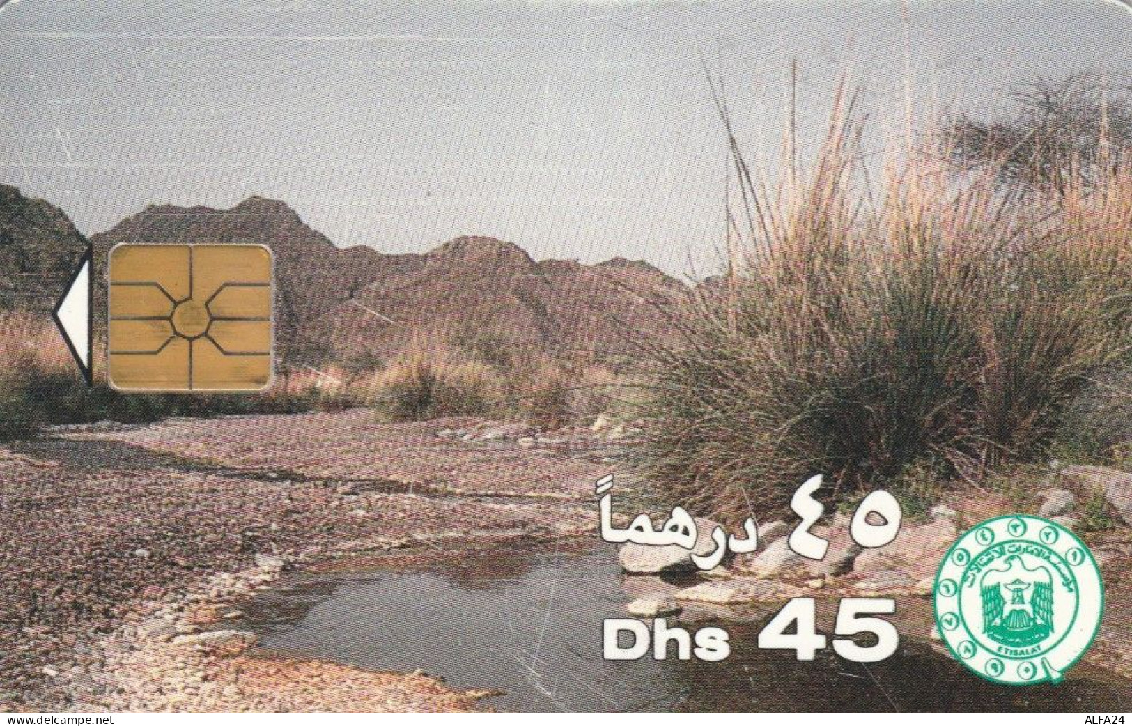 PHONE CARD EMIRATI ARABI  (E94.16.3 - Emirats Arabes Unis