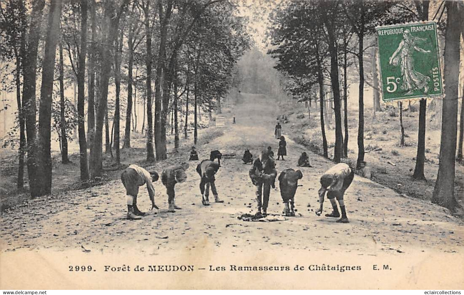 Meudon         92         Forêt. Les Ramasseurs De Châtaignes  N° 2999     (voir Scan) - Meudon