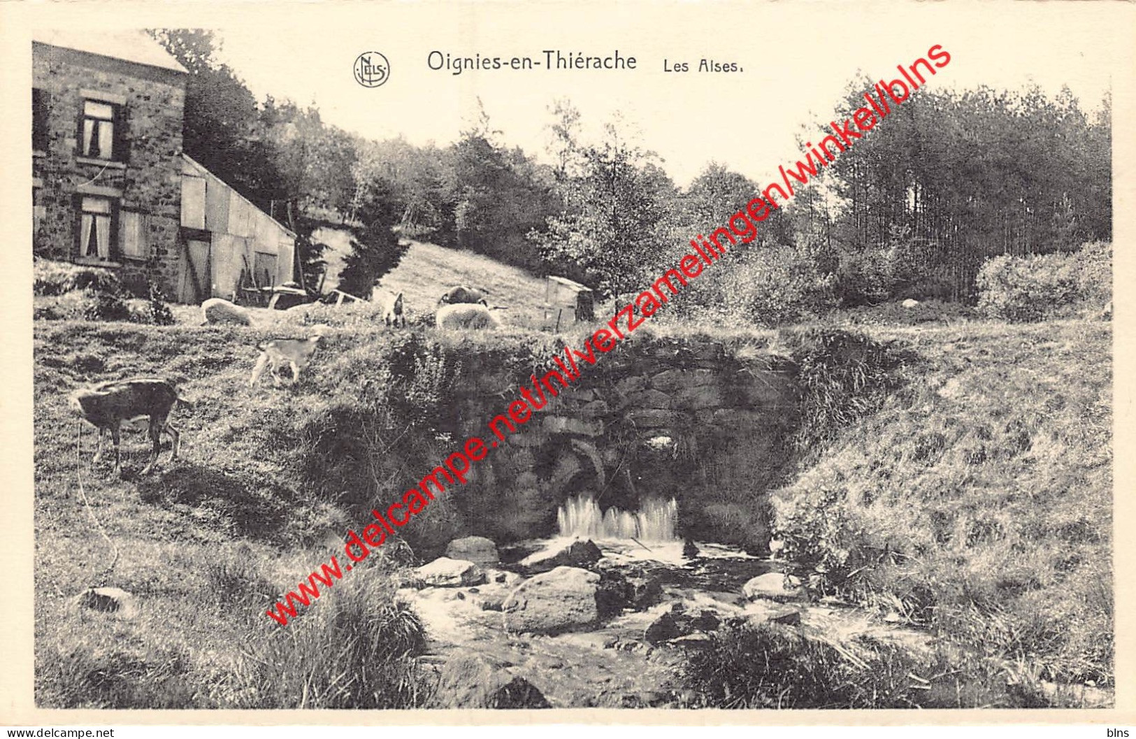 Les Aises - Oignies-en-Thiérache Viroinval - Viroinval