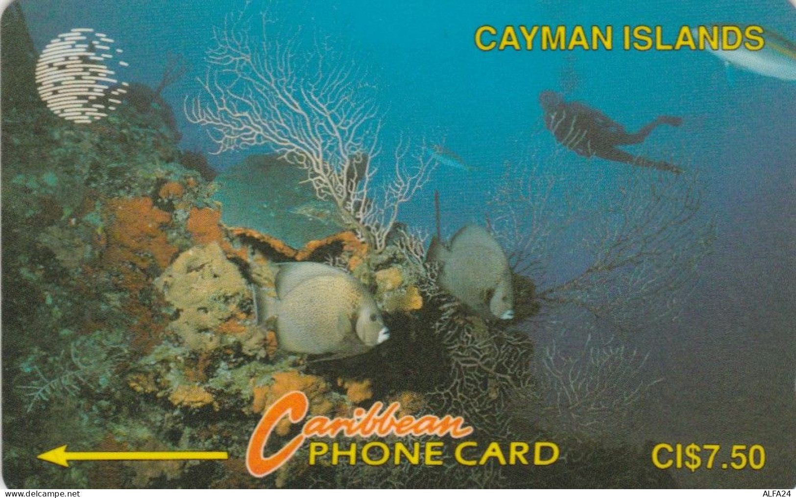 PHONE CARD CAYMAN ISLANDS  (E98.9.6 - Kaaimaneilanden