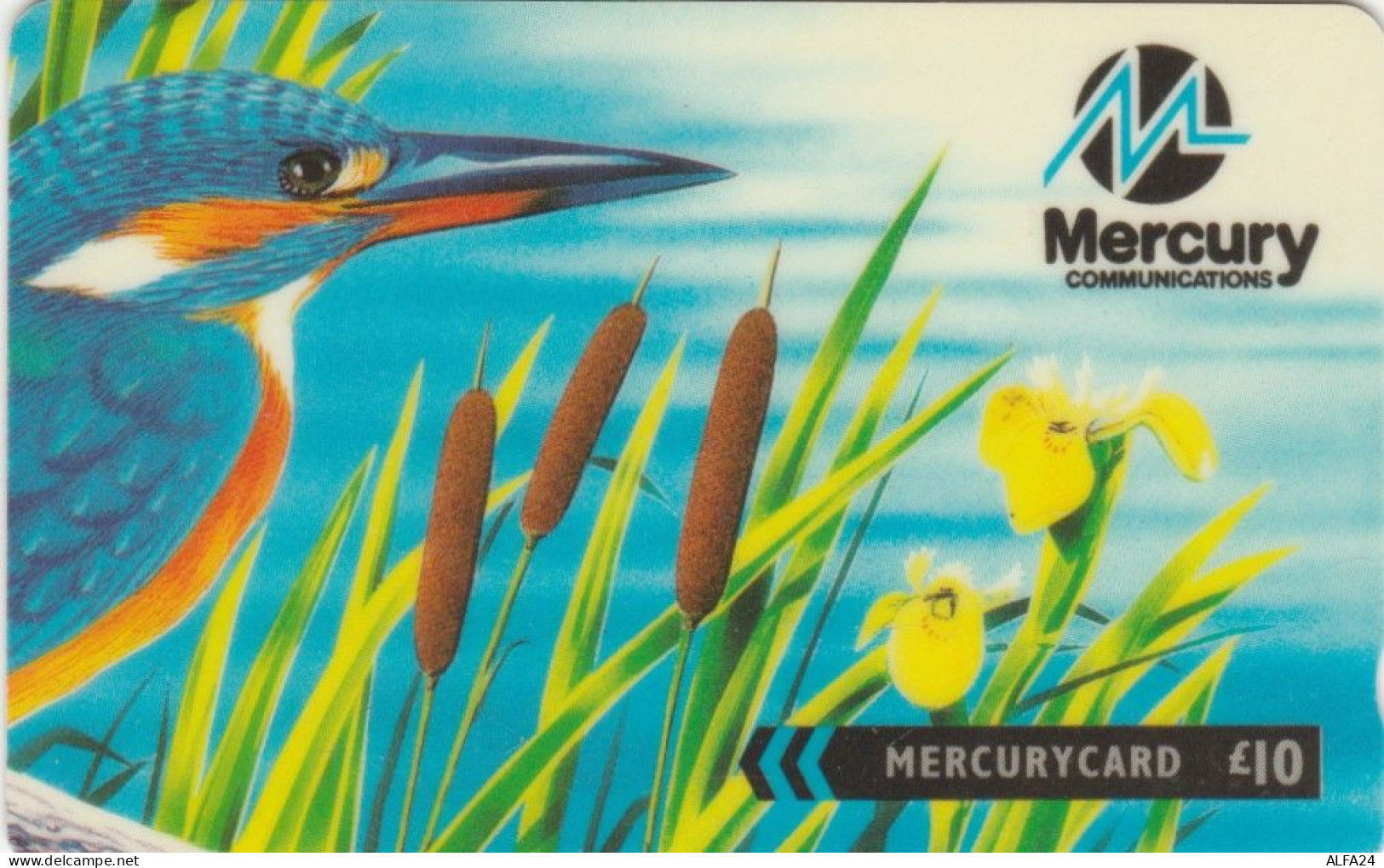 PHONE CARD REGNO UNITO MERCURY (E103.53.4 - [ 4] Mercury Communications & Paytelco