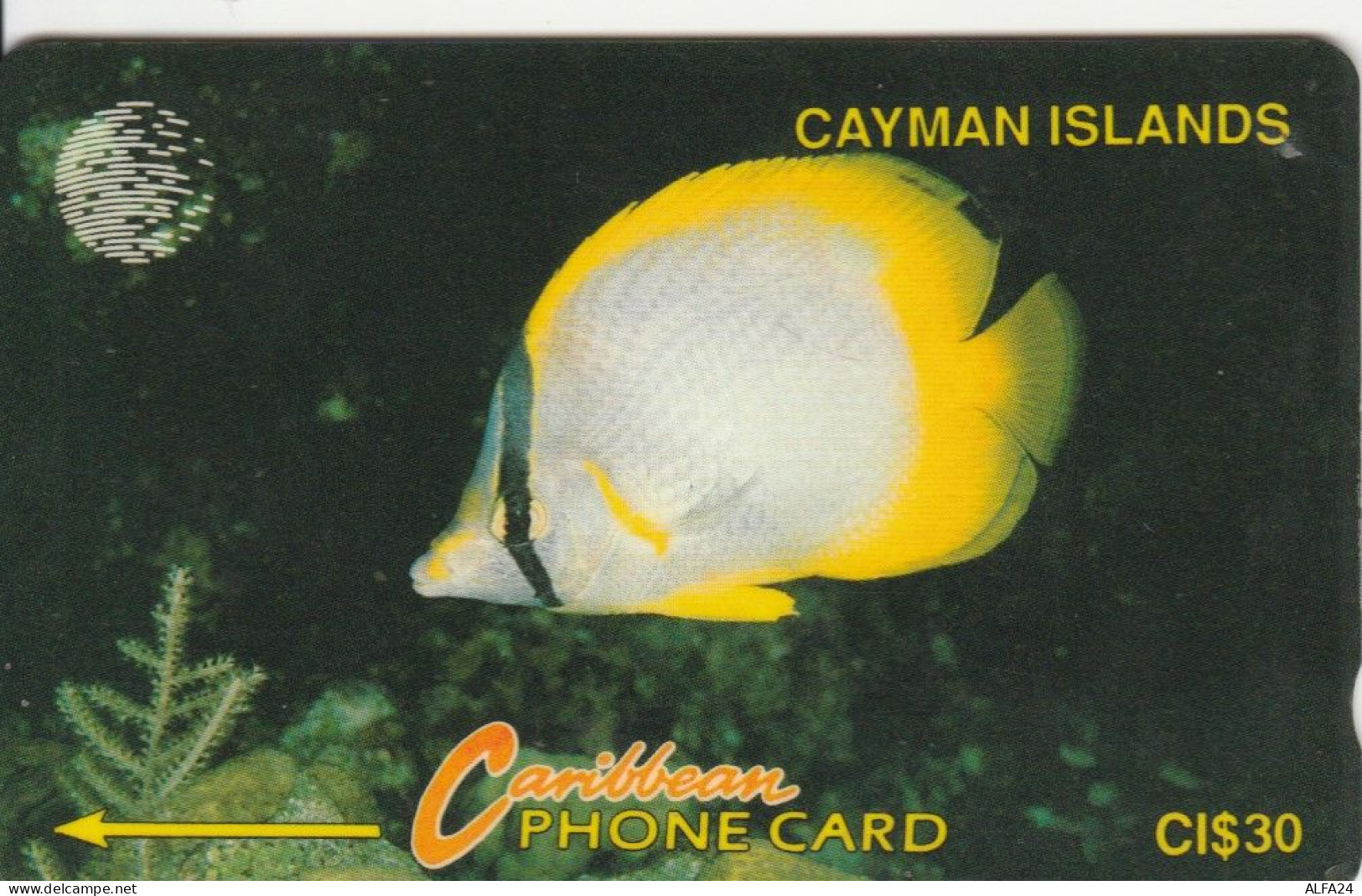 PHONE CARD CAYMAN ISLANDS  (E105.9.7 - Kaimaninseln (Cayman I.)