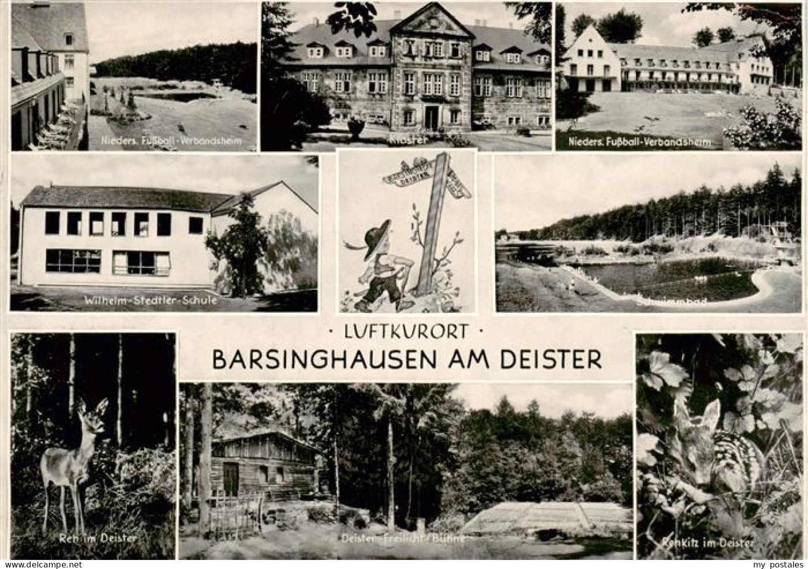 73905788 Barsinghausen Wilhelm Stedtler Schule Schwimmbad Reh Und Rehkitz Im Dei - Barsinghausen