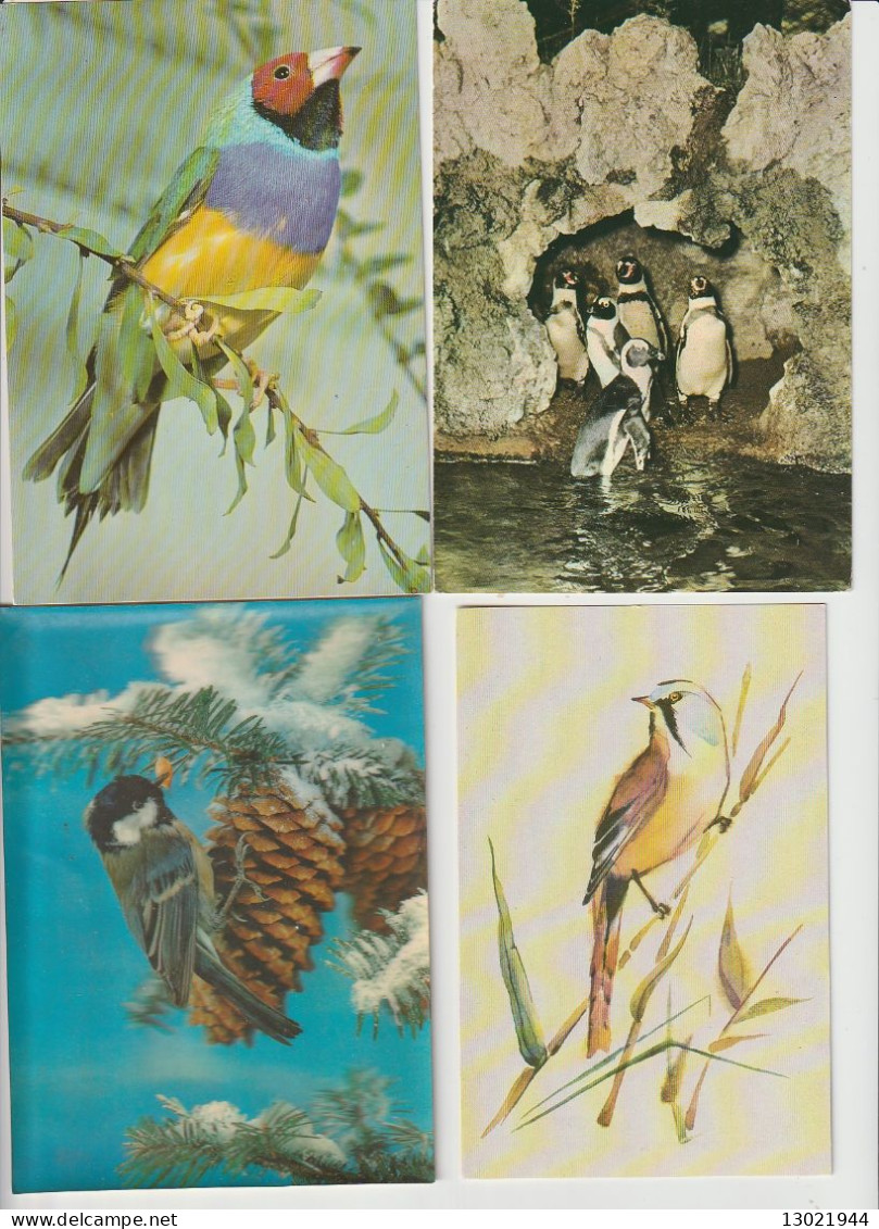 VENDO AL MIGLIORE OFFERENTE 52 CARTOLINE CON ANIMALI PENNUTI.POSSIBILE VENDITA SINGOLE CARTOLINE.