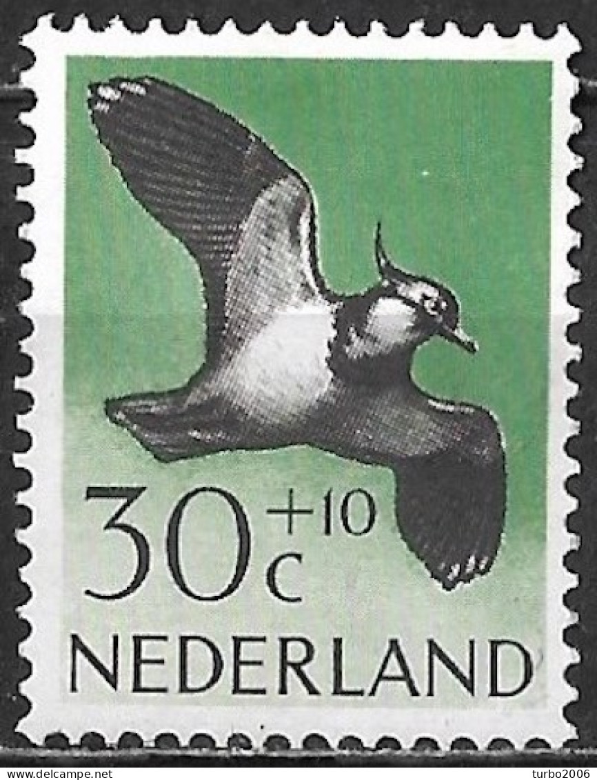 Plaatfout Wit Puntje Boven De Kuif In 1961 Zomerzegels Vogels 30 + 10 Ct NVPH 756 PM Ongestempeld - Variétés Et Curiosités