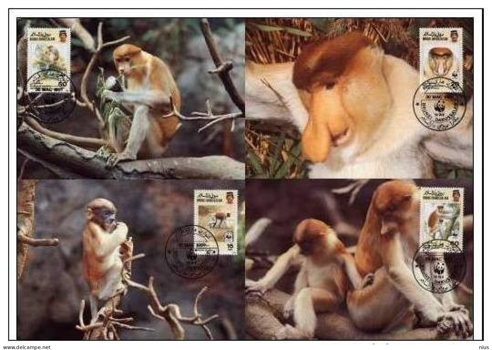 Brunei 1991 WWF W.W.F. MC Maximum Cards Brunei Monkey Monkeys Set Fauna - Maximum Cards