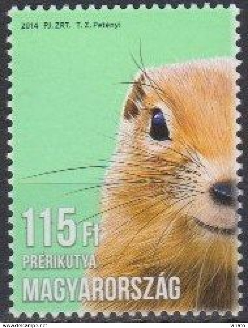 Hungary 2014 (MNH) Mi 5679 - Young Prairie Dog (Cynomys Sp.) - Rongeurs