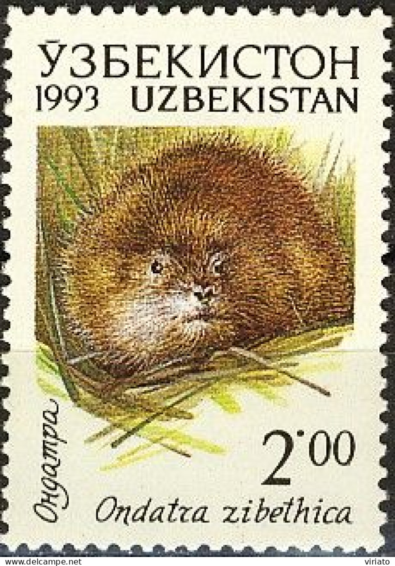 Uzbekistan 1993 (MNH) (Mi 9) - Muskrat (Ondatra Zibethica) - Nager