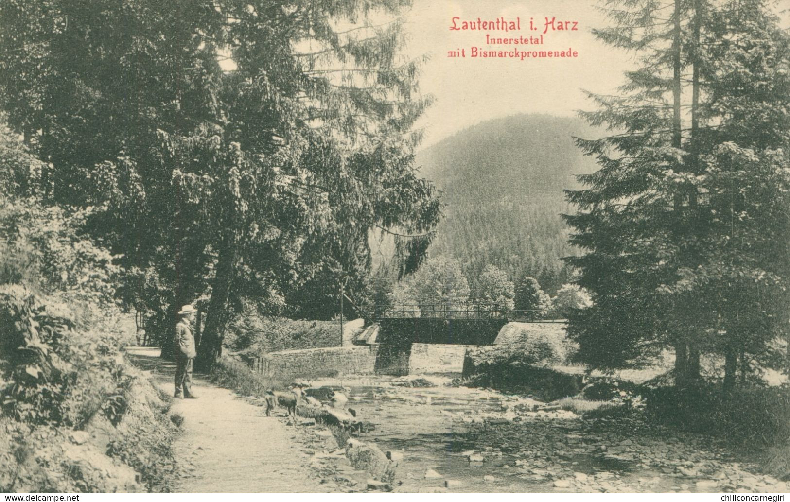 * LAUTENTHAL HARZ - Innerstetal Mit Bismarckpromenade - Animée - Verlag HERMANN VOPELIUS N° 86 - Langelsheim