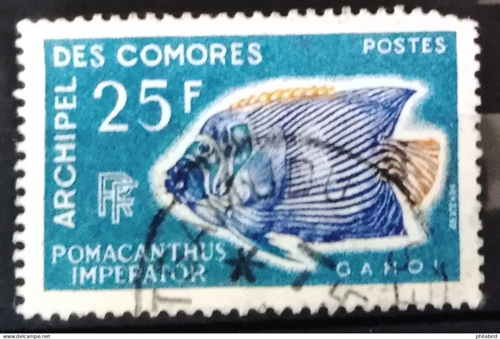 COMORES                         N° 48                         OBLITERE - Used Stamps