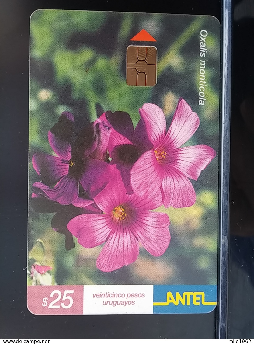 T-271 - URUGUAY TELECARD, PHONECARD, FLOWER, FLEUR, - Uruguay