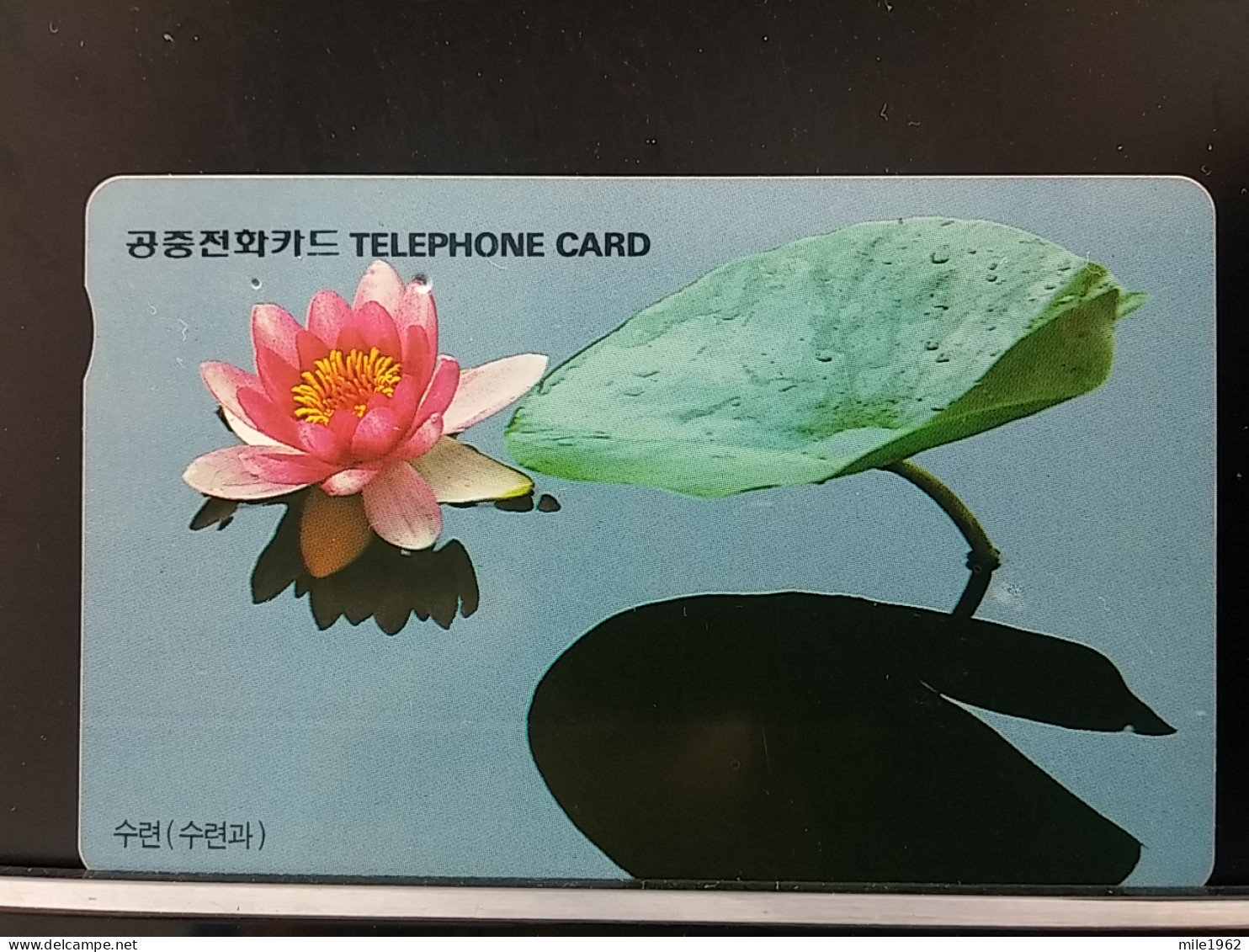 T-279 - KOREA, TELECARD, PHONECARD, FLOWER, FLEUR, - Korea, South