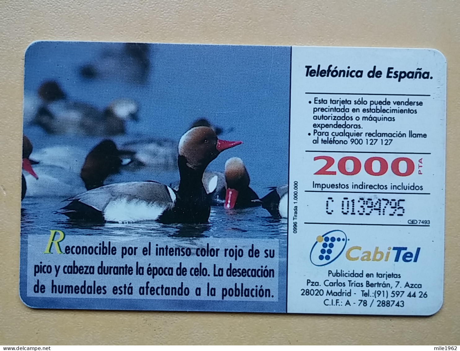 T-285 - ESPANA, SPAIN, TELECARD, PHONECARD, BIRD, OISEAU - Other & Unclassified