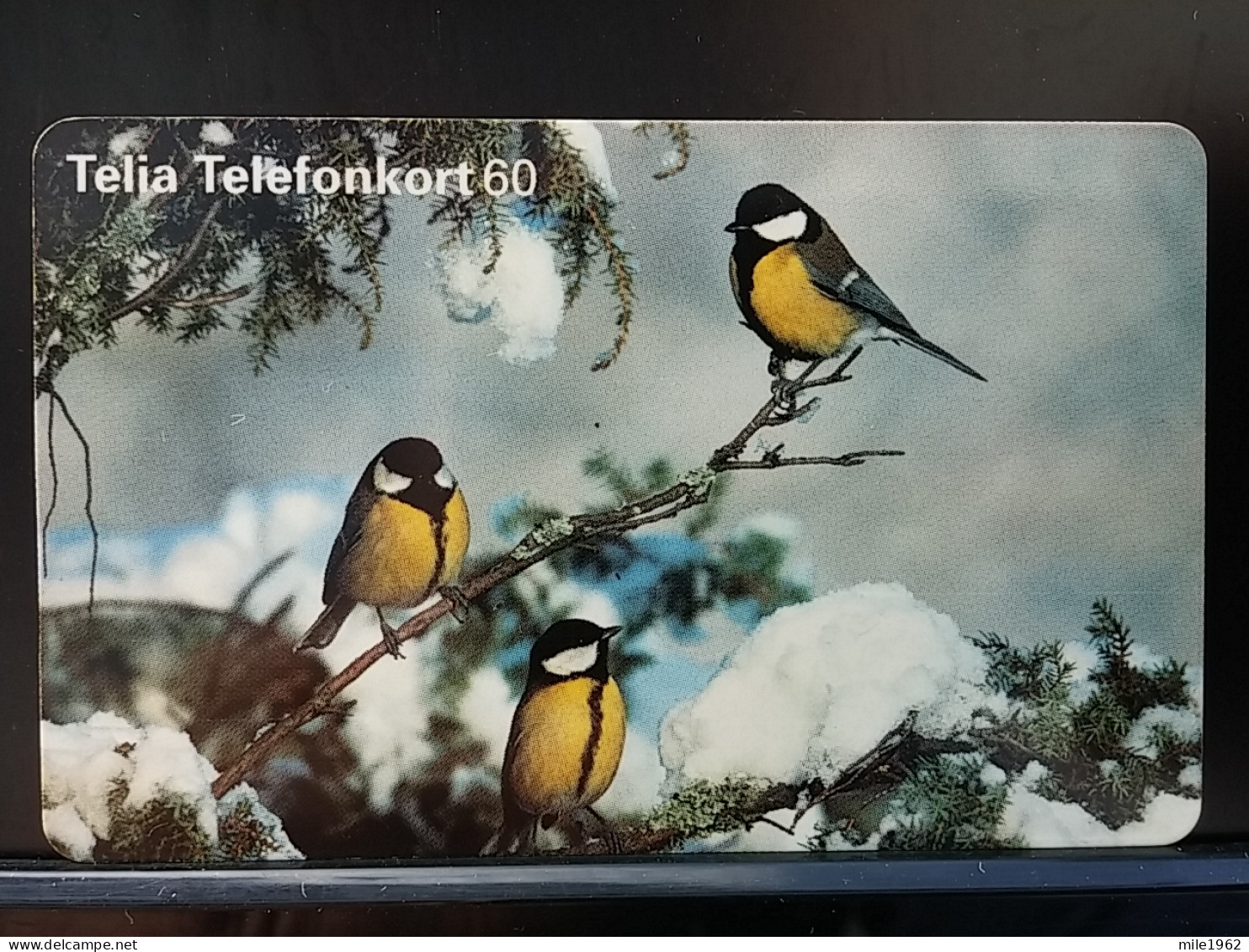 T-289 - SWEDEN TELECARD, PHONECARD, BIRD, OISEAU - Schweden