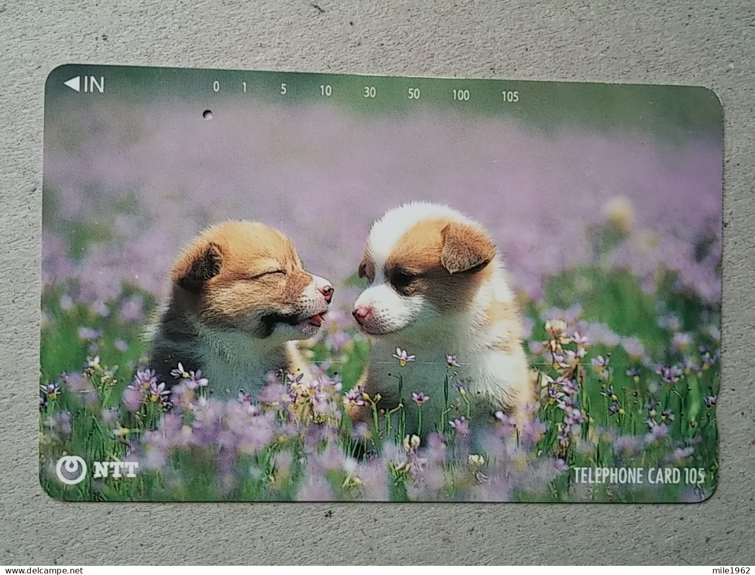 T-328 - JAPAN, TELECARD, PHONECARD, Dog, Chien, NTT 111-059 - Dogs