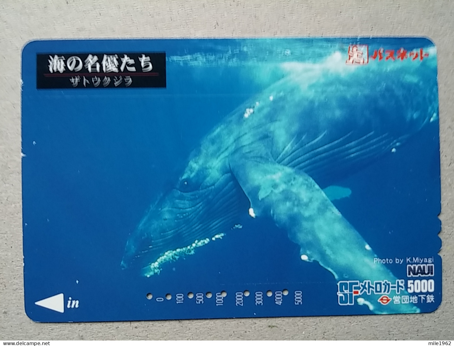 T-332 - JAPAN, PREPAID CARD, Carte Prépayée, FISH, POISON - Autres & Non Classés