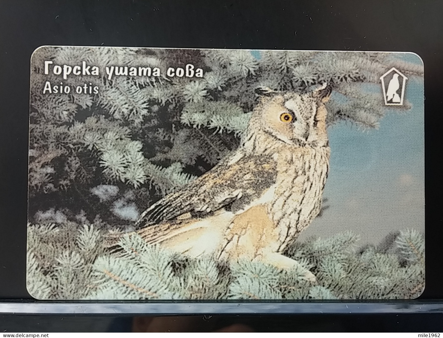 T-333 - BULGARIA, TELECARD, PHONECARD, OWL, HIBOU - Bulgaria