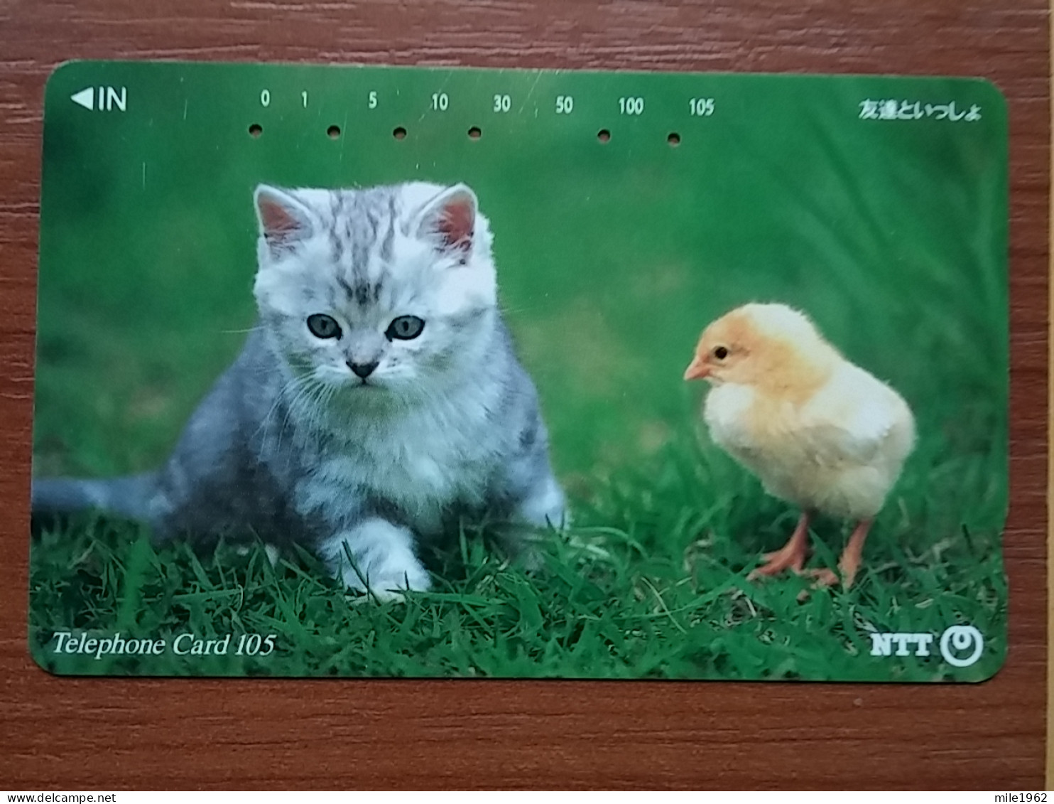 T-370 - JAPAN, Japon, Nipon, TELECARD, PHONECARD, Cat, Chat, NTT 111-062 - Katten