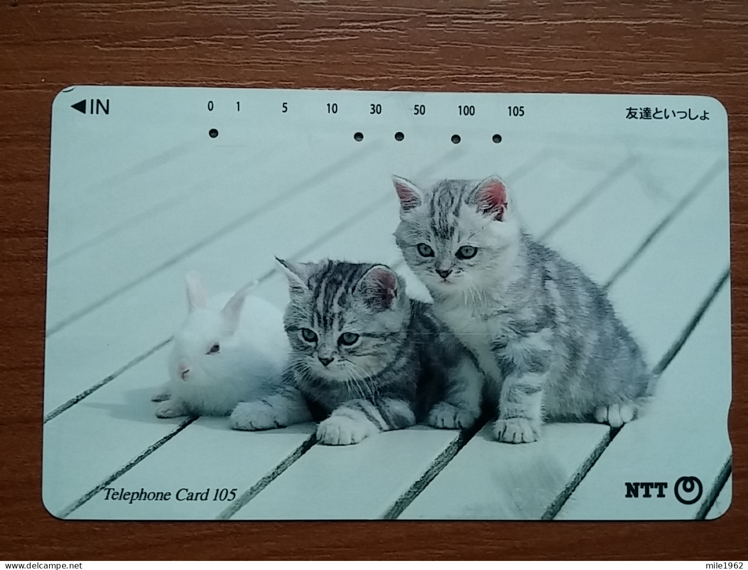 T-370 - JAPAN, Japon, Nipon, TELECARD, PHONECARD, Cat, Chat, NTT 111-088 - Cats