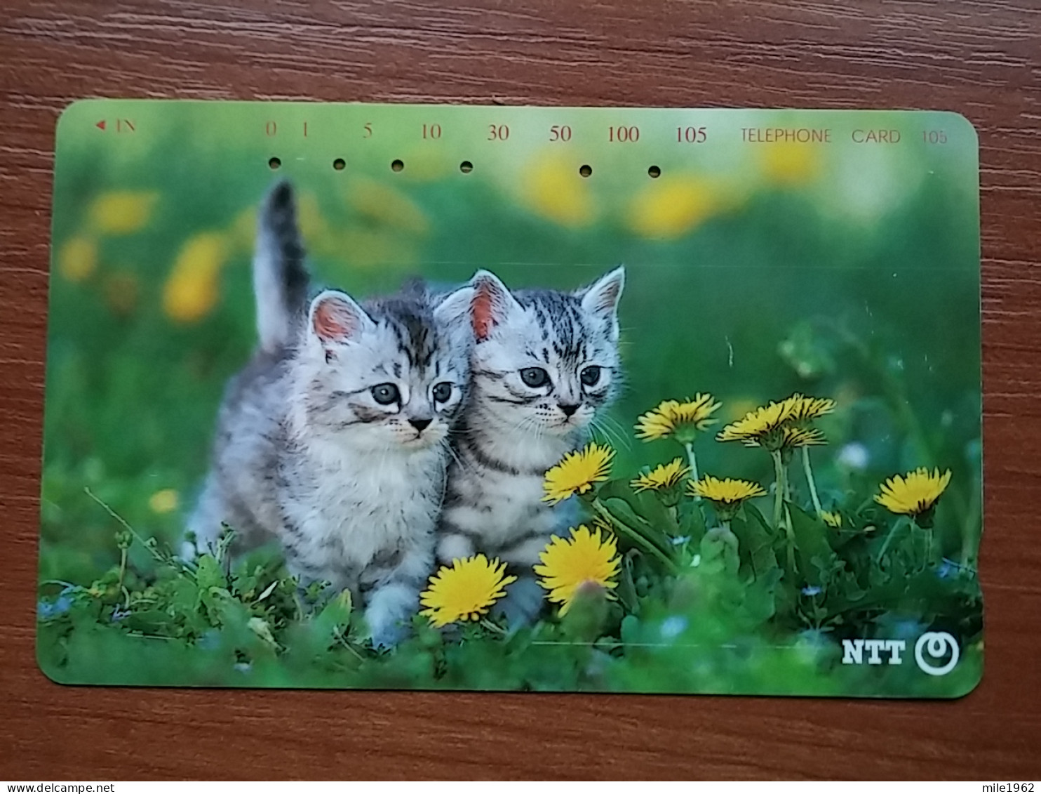 T-371 - JAPAN, Japon, Nipon, TELECARD, PHONECARD, Cat, Chat, NTT 231-393 - Cats