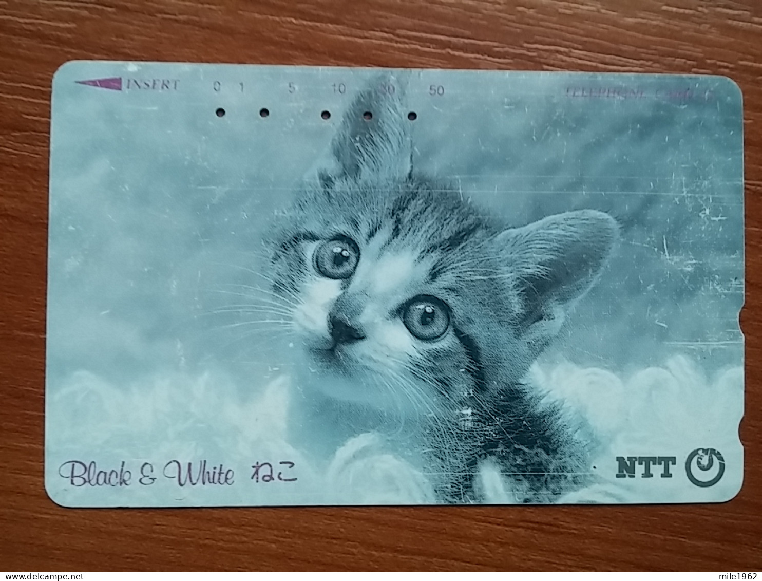 T-372 - JAPAN, Japon, Nipon, TELECARD, PHONECARD, Cat, Chat, NTT 291-214 - Cats