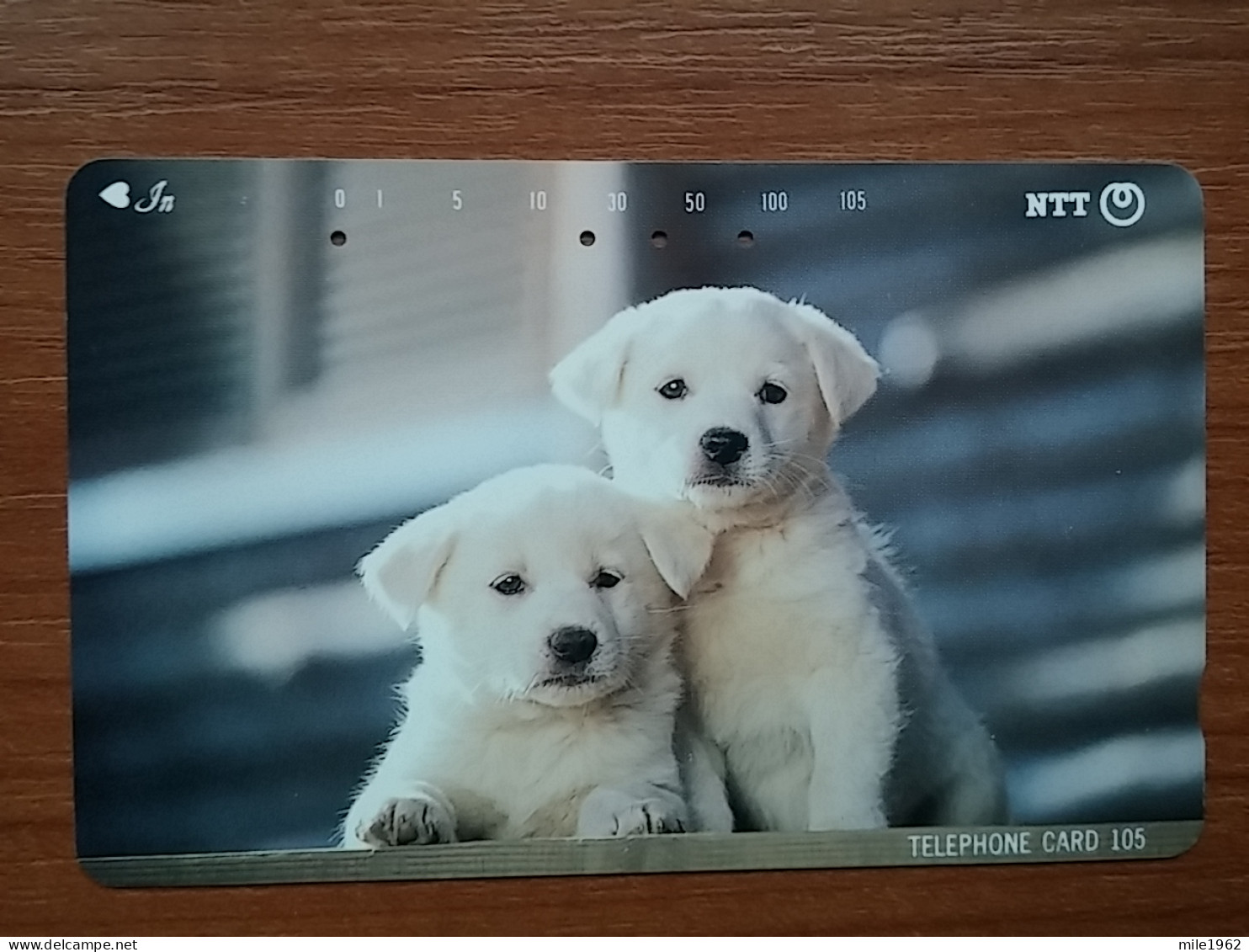 T-376 - JAPAN, Japon, Nipon, TELECARD, PHONECARD, Dog, Chien, NTT 111-033 - Dogs