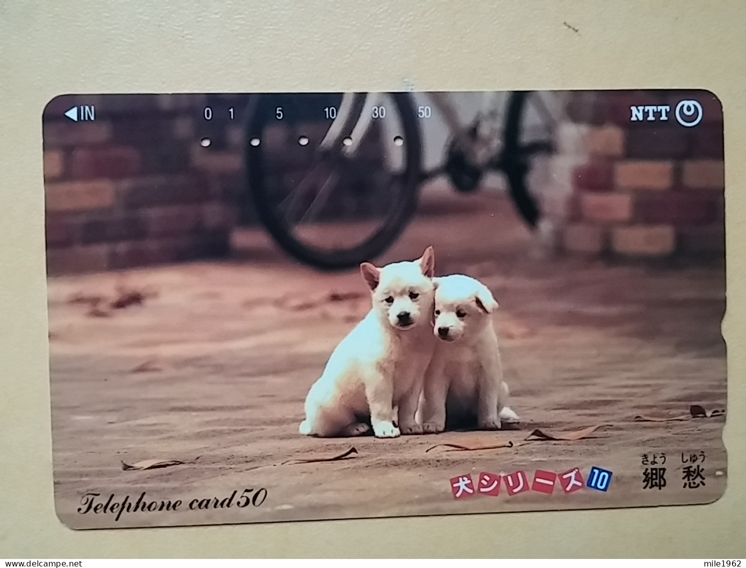 T-376 - JAPAN, Japon, Nipon, TELECARD, PHONECARD, Dog, Chien, NTT 290-554 - Cani