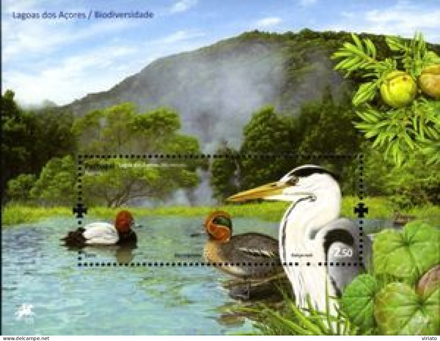 Açores 2009 (MNH) (Mi BL40) - Lagoon Of Furnas (Common Pochard, Eurasian Teal, Grey Heron) - Konvolute & Serien