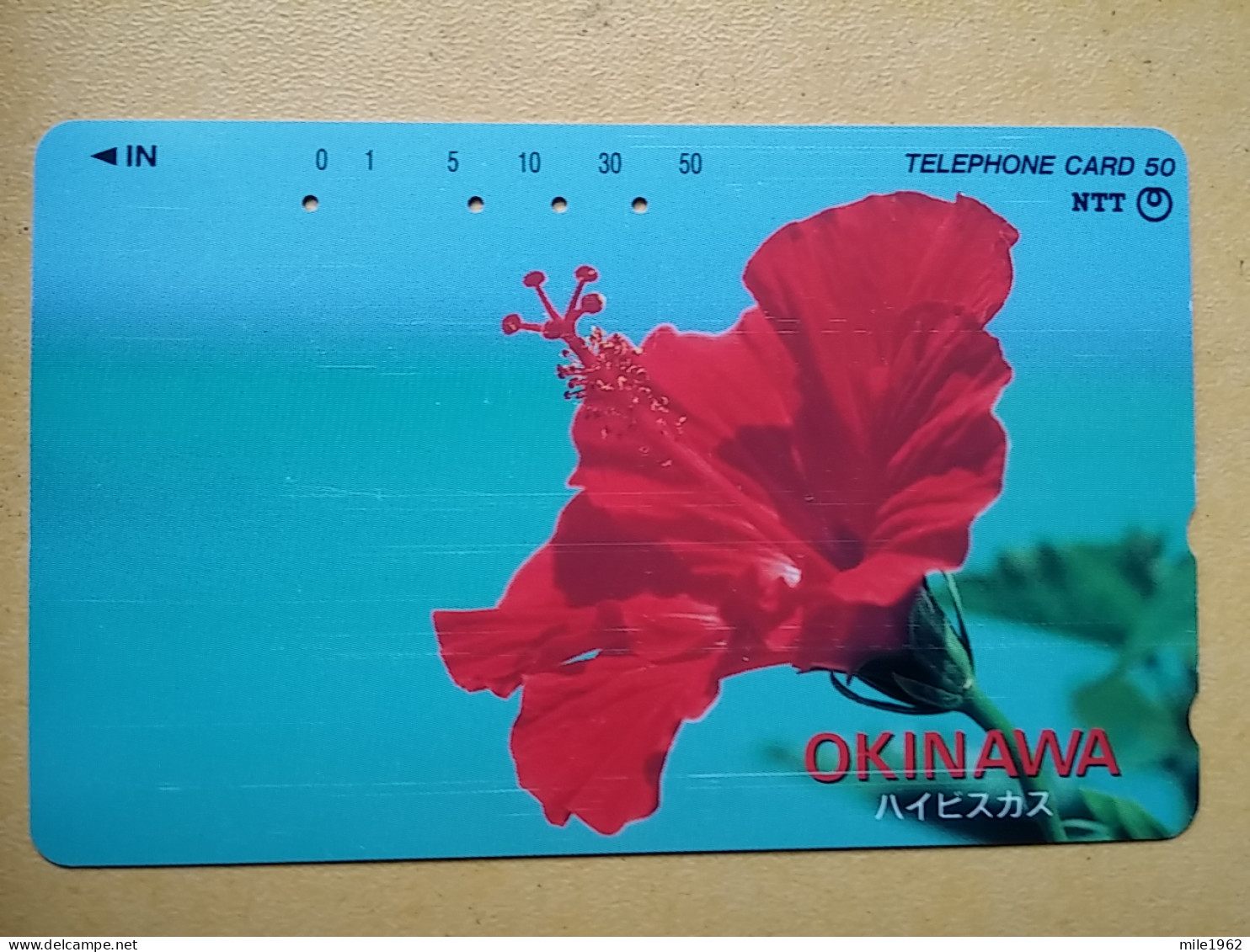 T-382 - JAPAN, Japon, Nipon, TELECARD, PHONECARD, Flower, Fleur, NTT 391-198 - Fleurs