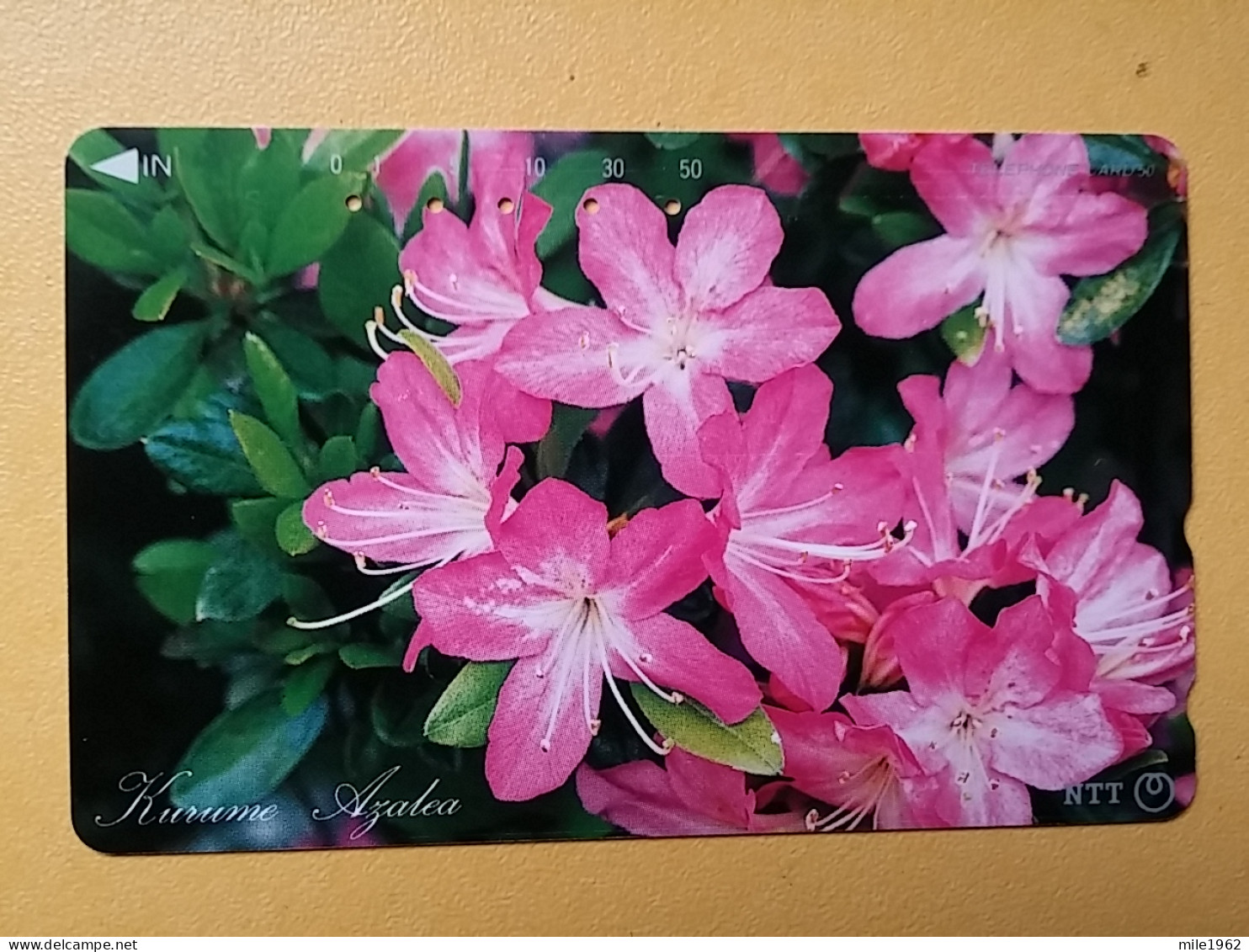 T-382 - JAPAN, Japon, Nipon, TELECARD, PHONECARD, Flower, Fleur, NTT 391-266 - Fleurs