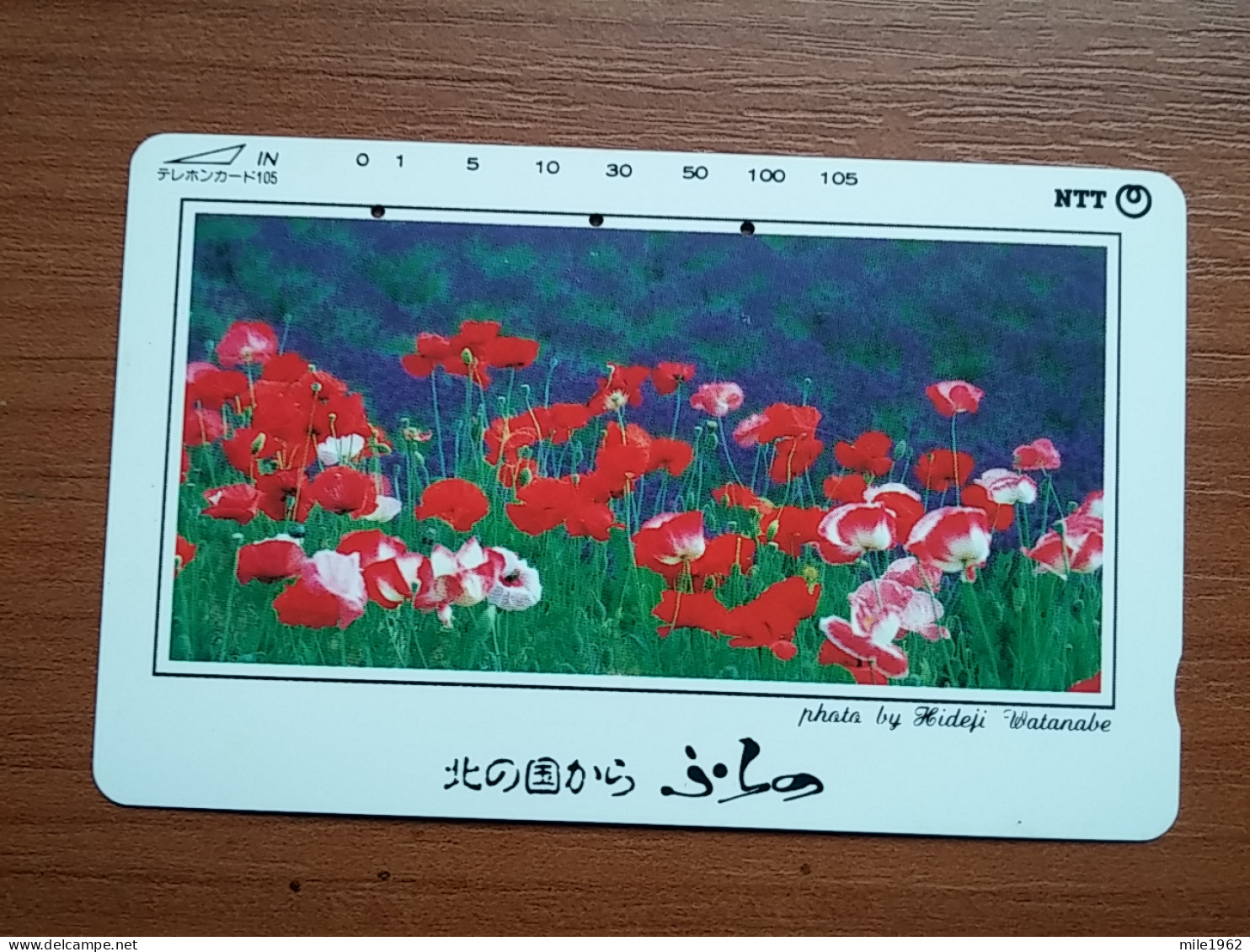 T-383 - JAPAN, Japon, Nipon, TELECARD, PHONECARD, Flower, Fleur, NTT 431-142 - Fleurs