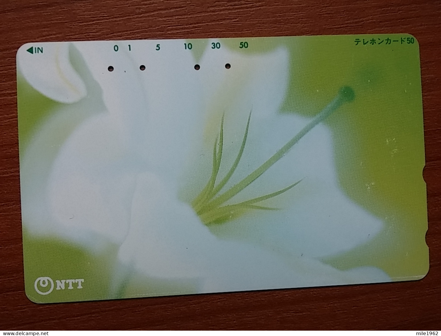 T-384 - JAPAN, Japon, Nipon, TELECARD, PHONECARD, Flower, Fleur, NTT 231-241 - Flowers