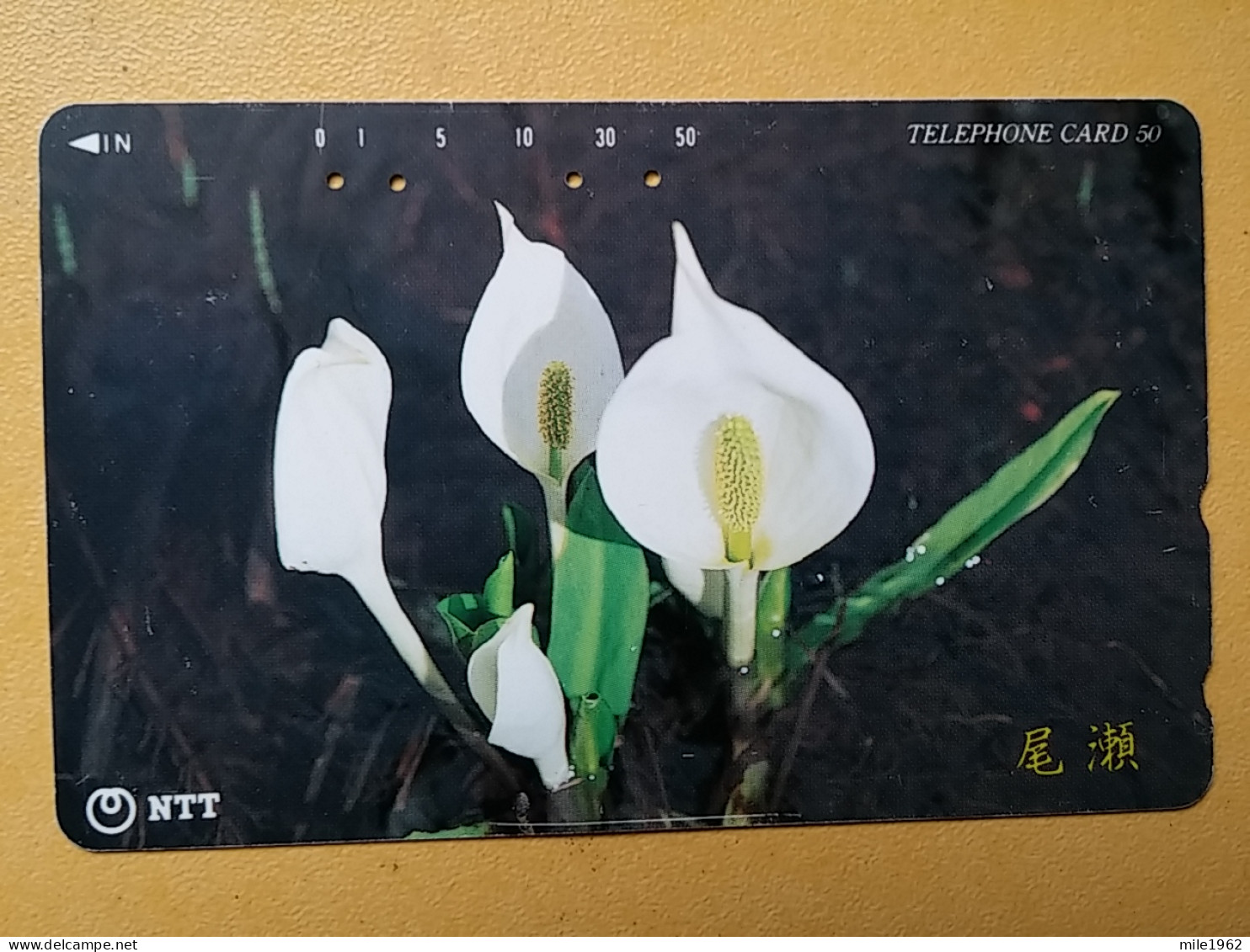 T-384 - JAPAN, Japon, Nipon, TELECARD, PHONECARD, Flower, Fleur, NTT 251-375 - Fiori