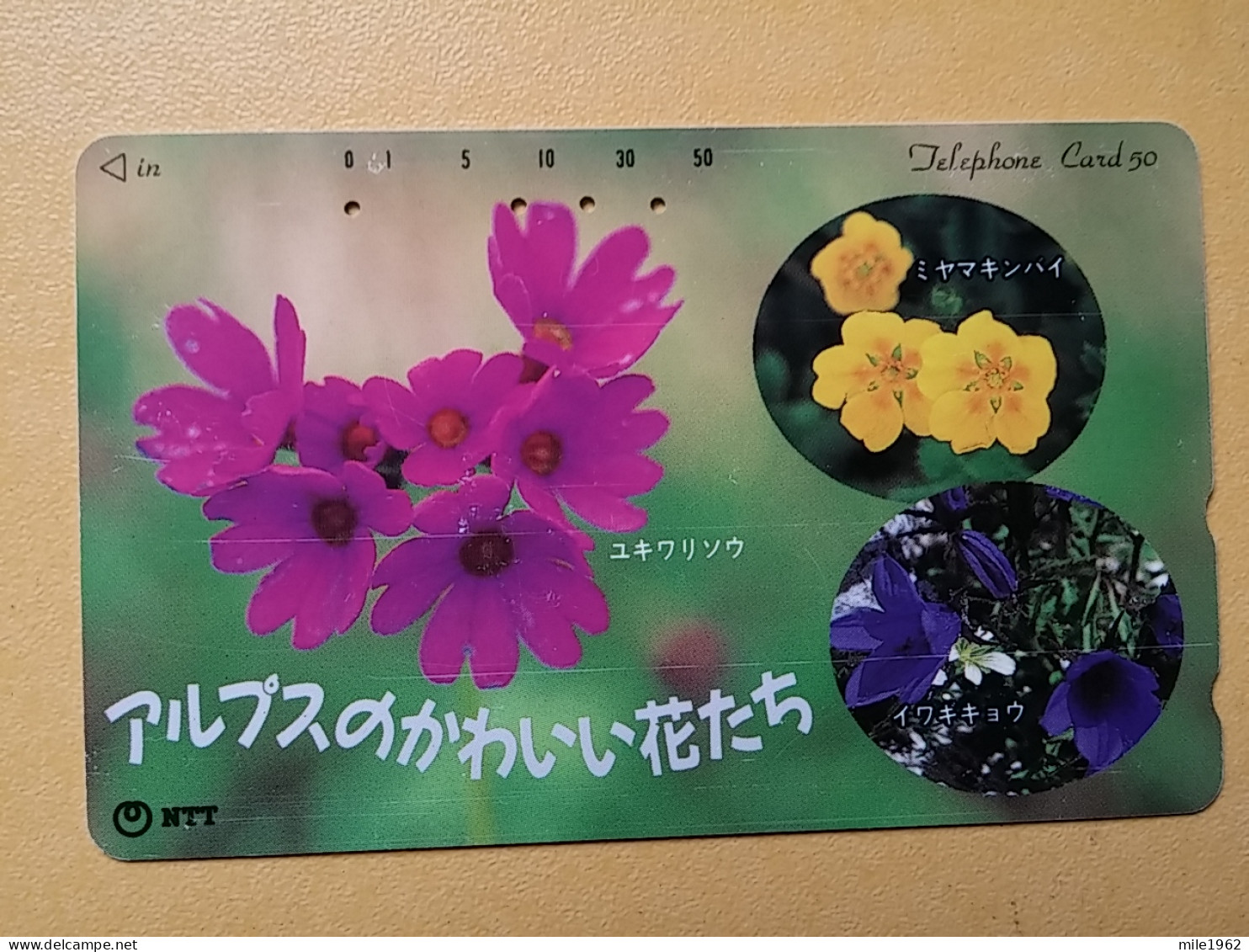 T-384 - JAPAN, Japon, Nipon, TELECARD, PHONECARD, Flower, Fleur, NTT 271-174 - Flowers