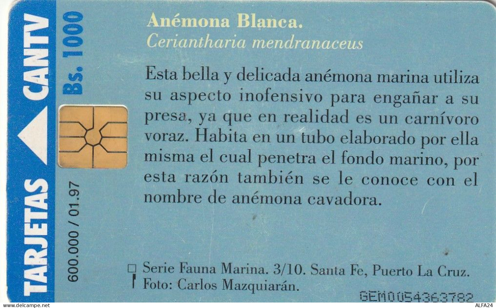 PHONE CARD VENEZUELA  (E72.29.2 - Venezuela