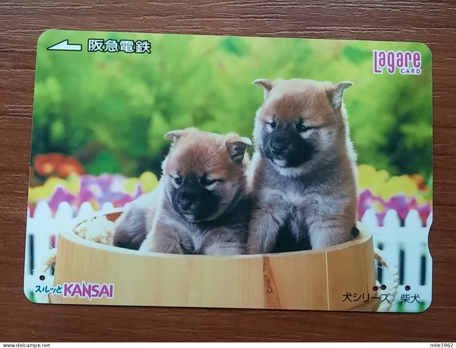 T-398 - JAPAN, Japon, Nipon, Carte Prepayee, Prepaid Card, Dog, Chien - Dogs