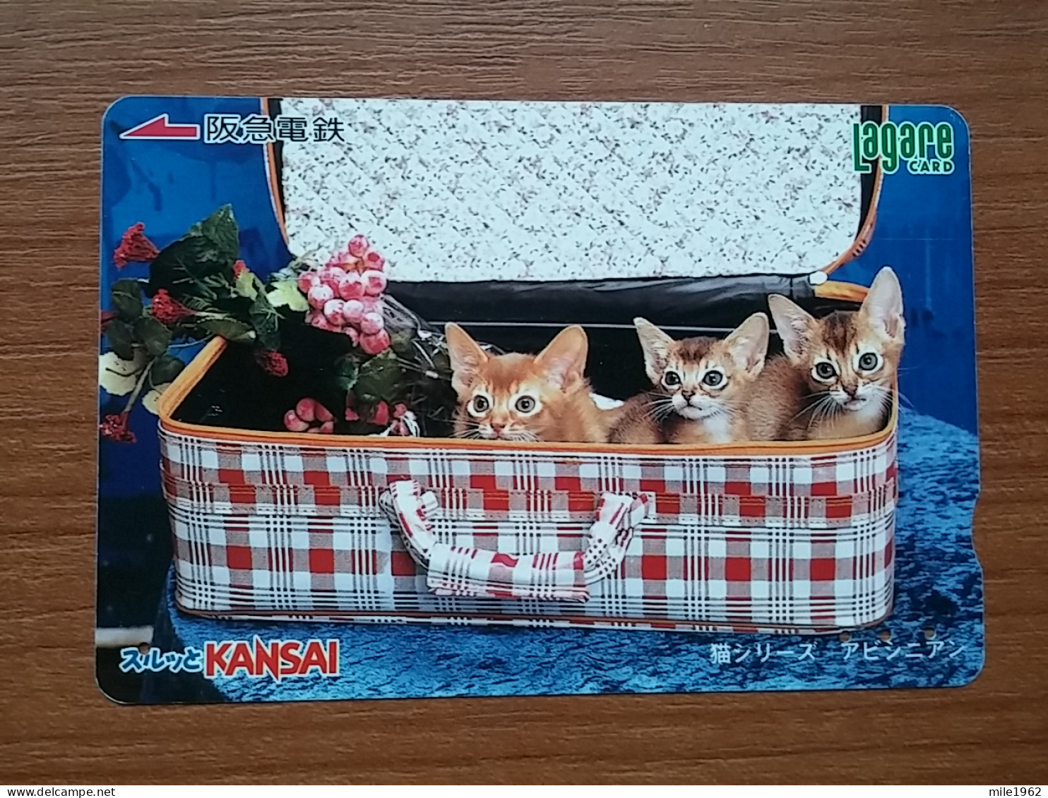 T-401 - JAPAN, Japon, Nipon, Carte Prepayee, Prepaid Card, CAT, CHAT,  - Katten