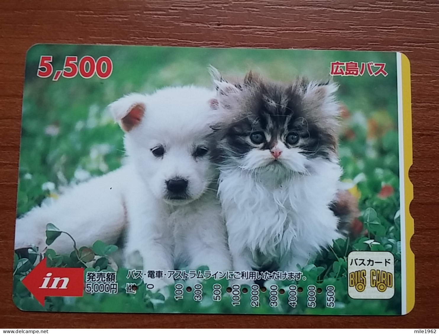 T-401 - JAPAN, Japon, Nipon, Carte Prepayee, Prepaid Card, CAT, CHAT,  - Chats