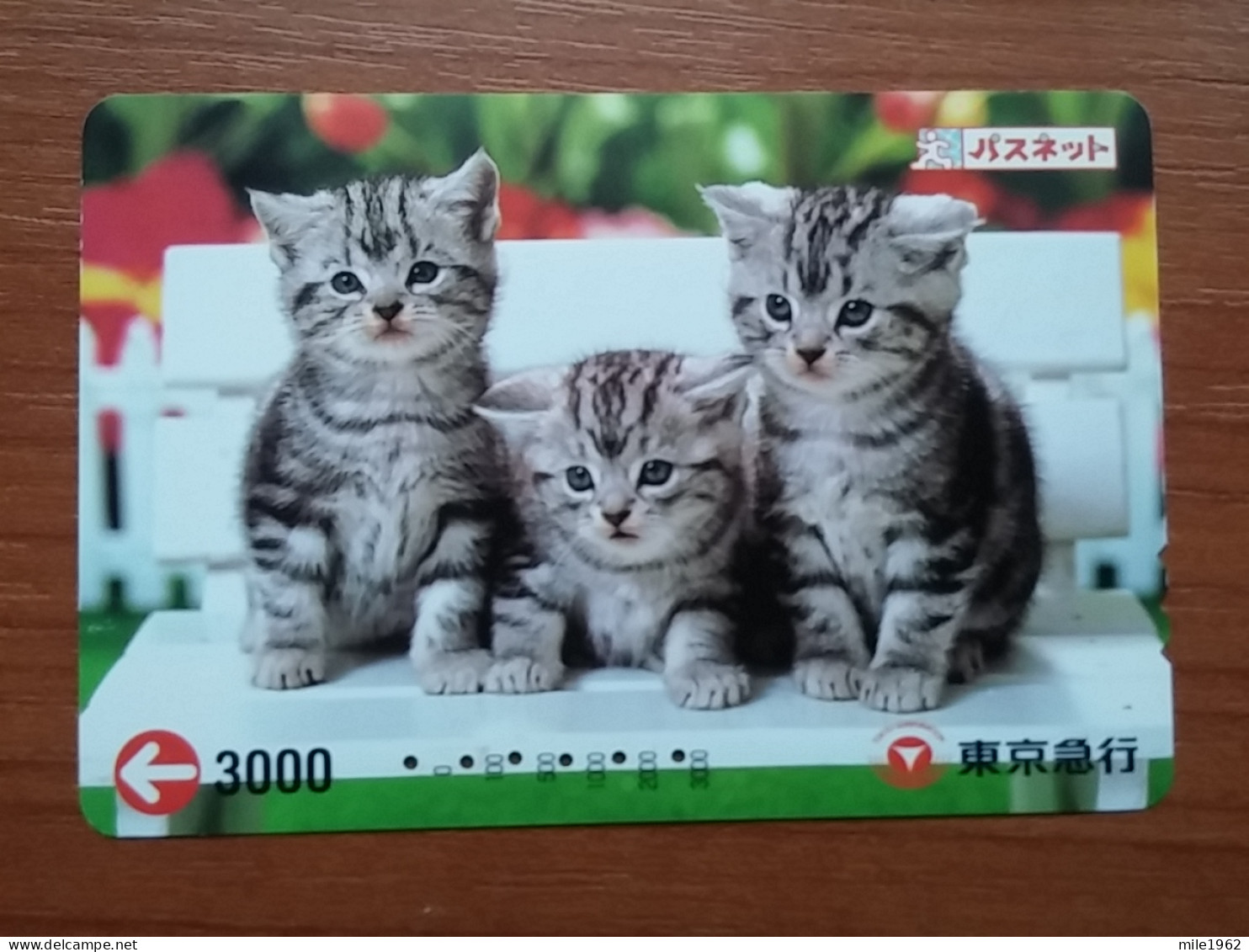 T-402 - JAPAN, Japon, Nipon, Carte Prepayee, Prepaid Card, CAT, CHAT,  - Cats