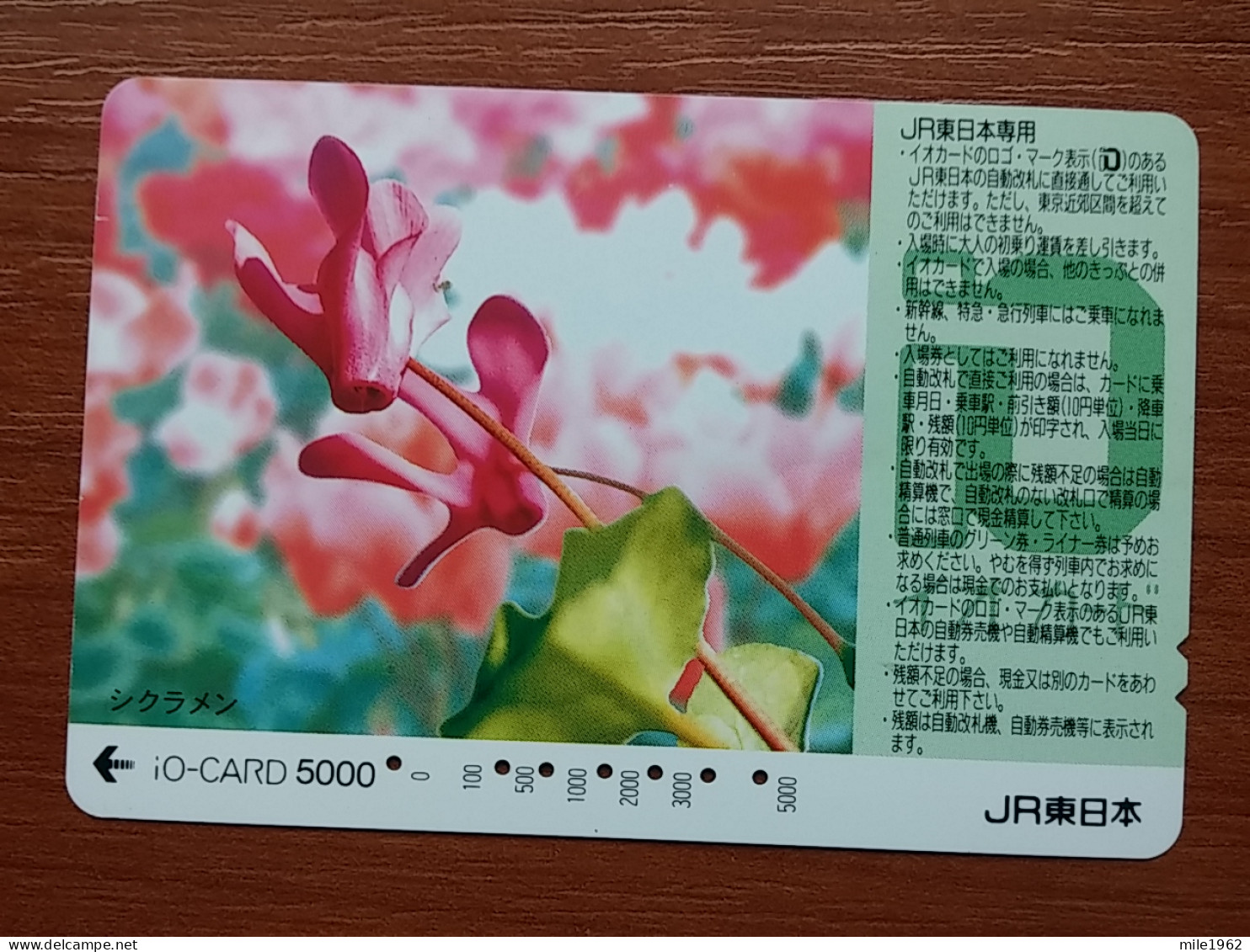 T-446 - JAPAN, Japon, Nipon, Carte Prepayee, Prepaid Card, FLOWER, FLEUR - Fiori