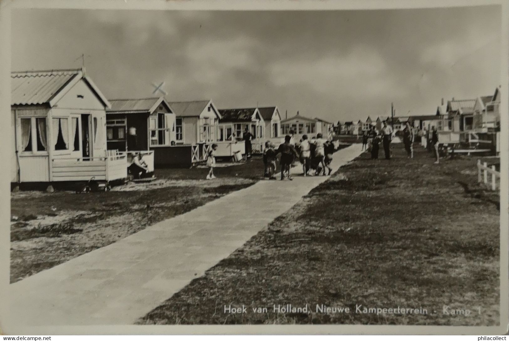 Hoek Van Holland / Kamp 1  - Nieuwe Kampeerterrein 1955 - Hoek Van Holland