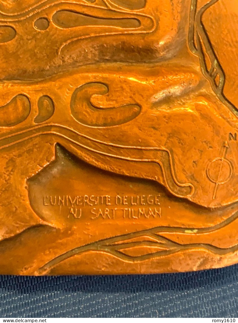 Médaille Belge - 150 Ans De L'Université De Liège, Par J. Vierset -  L'Université De Liège Au Sart Tilman, Plan Du Camp. - Other & Unclassified