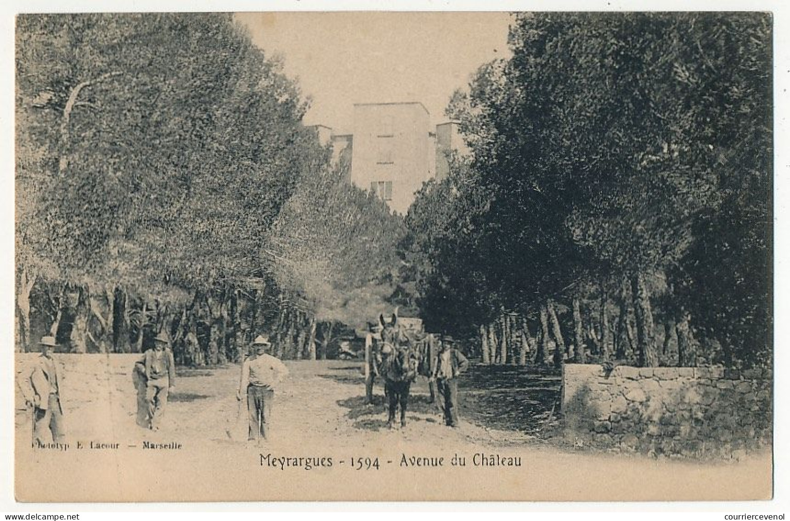 CPA - MEYRARGUES (B Du R) - Avenue Du Château - Meyrargues