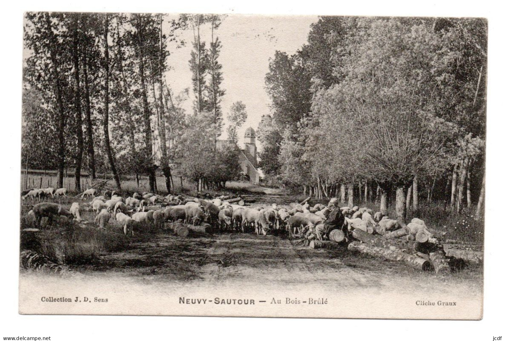 89 NEUVY SAUTOUR - Au Bois Brulé - Coll JD - Berger Et Ses Moutons - Eglise - Neuvy Sautour