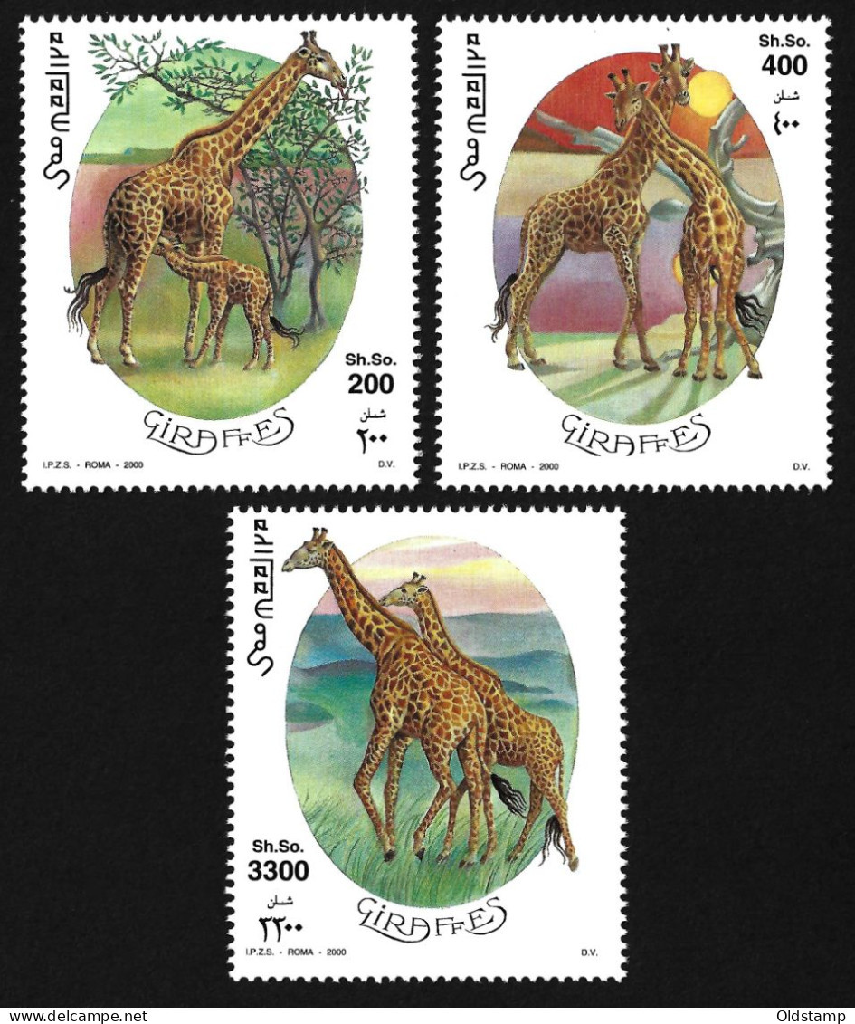 ANIMALS Somalia 2000 MNH Giraffes Savannah Fauna Wild Life Giraffe Nature Africa Prairie MNH Luxe Full Set Stamps Serie - Jirafas