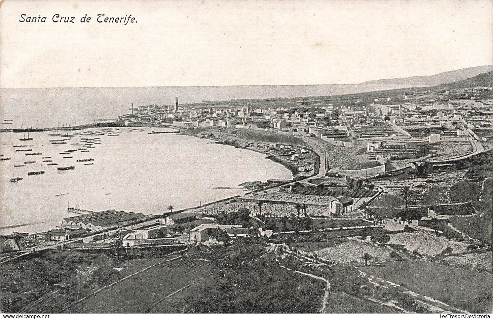 ESPAGNE - Santa Cruz De Tenerife - Vue Sur Le Port  - Carte Postale Ancienne - Tenerife