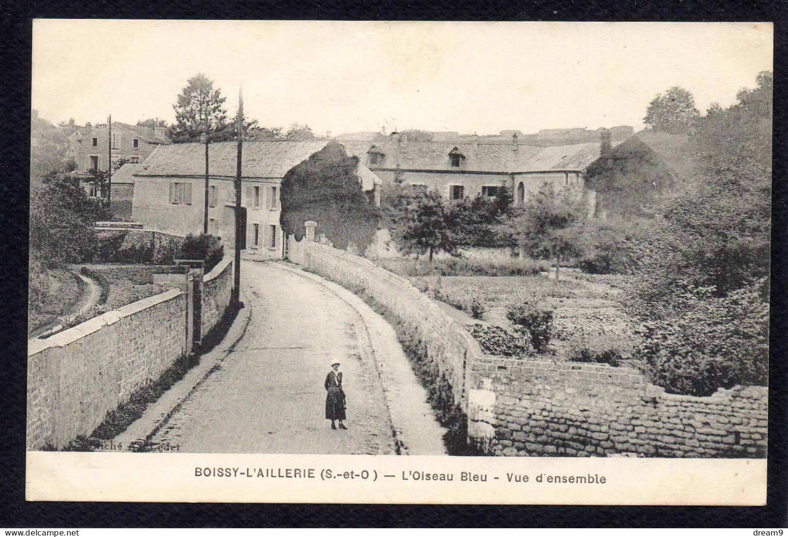 95 BOISSY L'AILLERIE - L'Oiseau Bleu - Vue D'Ensemble - Boissy-l'Aillerie