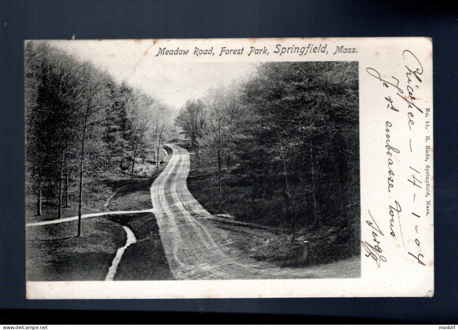 CPA - Etats-Unis - Springfield, Massachussetts - Meadow Road, Forest Park - 1904 - Springfield