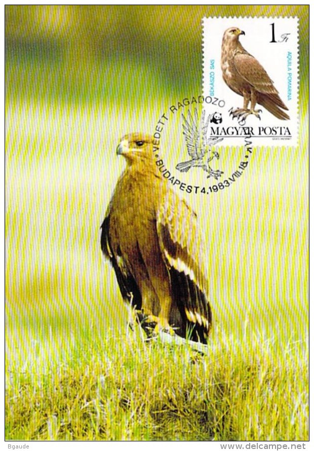 HONGRIE Magyar WWF CARTE MAXIMUM NUM.YVERT 2864 PROTECTION DE LA NATURE OISEAU AIGLE - Maximum Cards